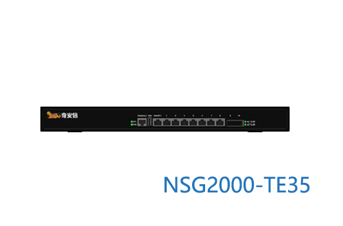 网神NSG2000-TE35奇安信新一代智慧防火墙